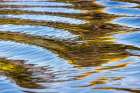 Water reflections behind small boat in the Pantanal region, Mato Grosso, Brazil, South America Art Print
